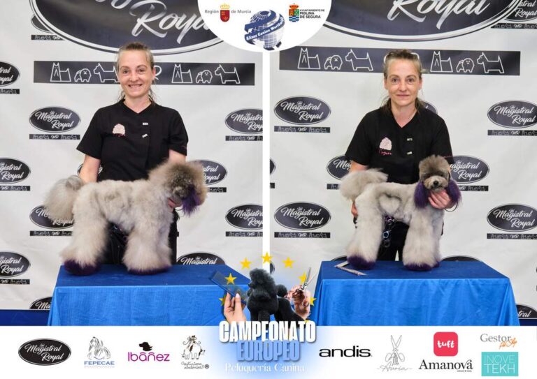 Campeonato Europeo Peluquería canina el antes y el despues categorias Asian Style Relevos Parejas Spaniels