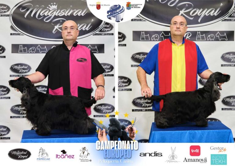 Campeonato Europeo Peluquería canina el antes y el despues categorias Asian Style Relevos Parejas Spaniels
