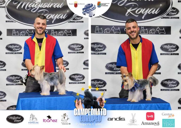 Campeonato Europeo Peluquería canina el antes y el despues categorias Asian Style Relevos Parejas Spaniels