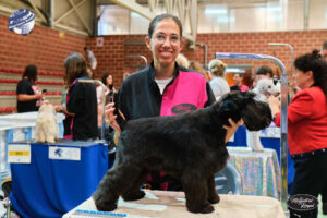 Campeonato europeo peluqueria canina Alianz Canine Worldwide y patrocinador Magistral Royal
