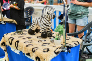 Campeonato europeo peluqueria canina Alianz Canine Worldwide y patrocinador Magistral Royal