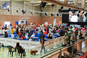 Campeonato europeo peluqueria canina Alianz Canine Worldwide y patrocinador Magistral Royal