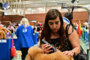Campeonato europeo peluqueria canina Alianz Canine Worldwide y patrocinador Magistral Royal