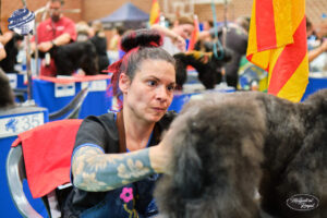 Campeonato europeo peluqueria canina Alianz Canine Worldwide y patrocinador Magistral Royal