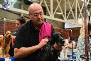 Campeonato europeo peluqueria canina Alianz Canine Worldwide y patrocinador Magistral Royal