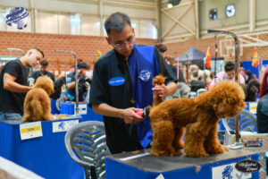 Campeonato europeo peluqueria canina Alianz Canine Worldwide y patrocinador Magistral Royal