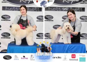 Campeonato Europeo Peluquería Canina el antes y después de la competición