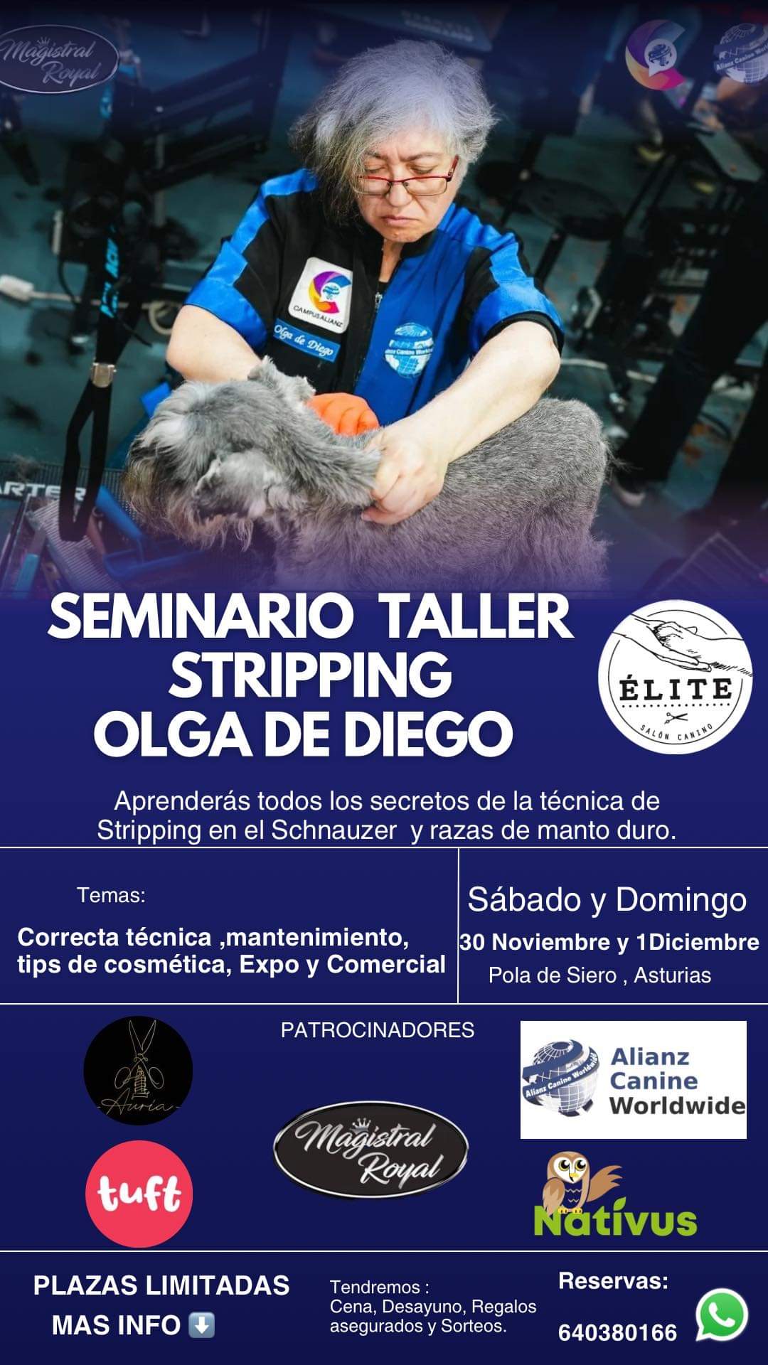 SEMINARIO DE PELUQUERÍA CANINA CON OLGA DE DIEGO, TECNICA STRIPPING