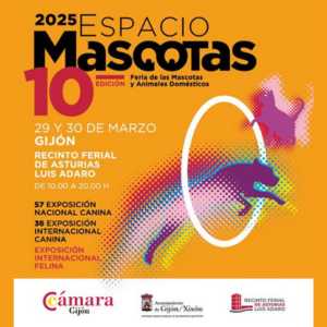 colaborador en el Campeonato GroomAstur 2025 de peluqueria canina (2)