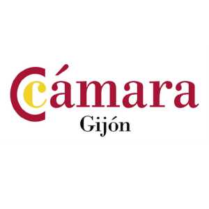 colaborador en el Campeonato GroomAstur 2025 de peluqueria canina (5)