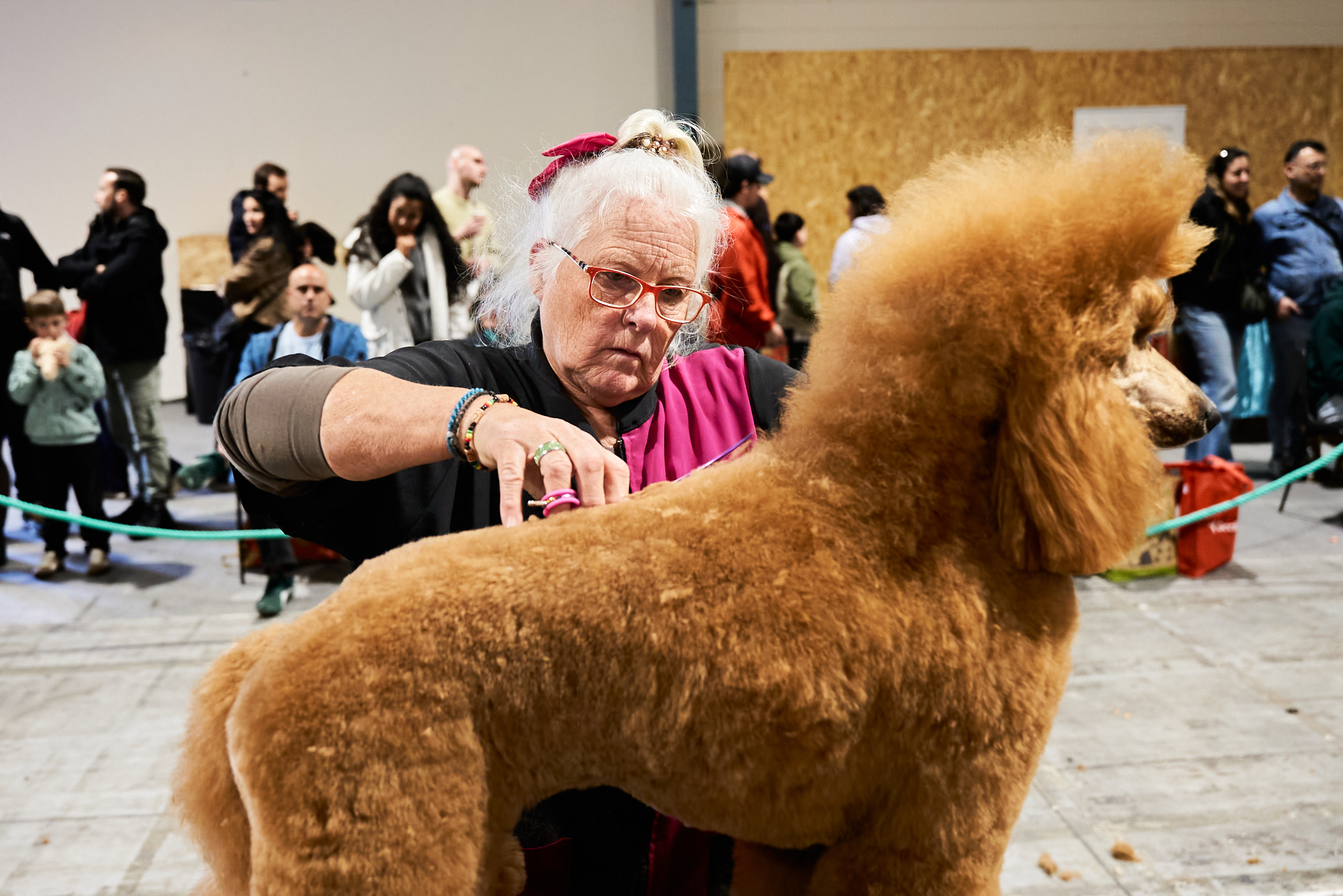 Carinne Lewi · Comunicación Canina