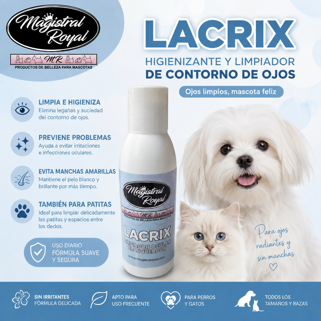 Lacrix de Magistral Royal junto a un perro y un gato de pelo blanco